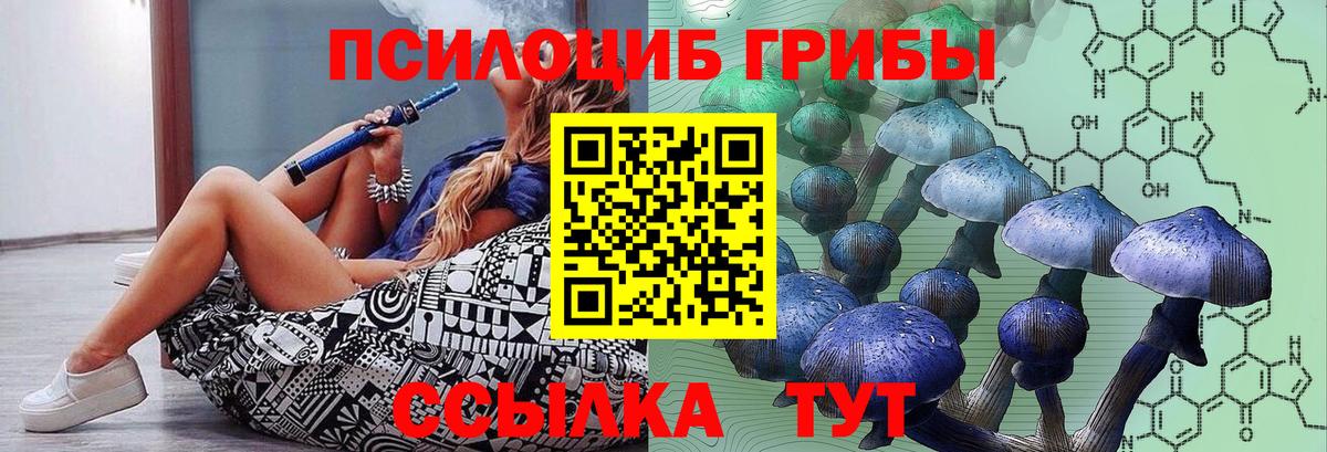 Лыткарино  Псилоцибиновые грибы мухоморы  купить закладку  Вход с VPN  Галлюциногенные грибы Psilocybe 